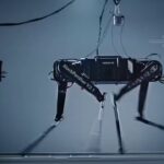 chinesischer Roboterhund Black Panther 2.0