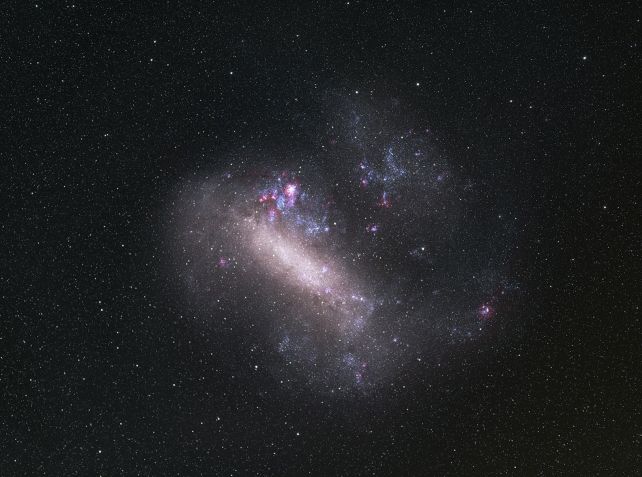 The Large Magellanic Cloud