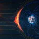 Wie Tiere und Menschen das Erdmagnetfeld erkennen und nutzen