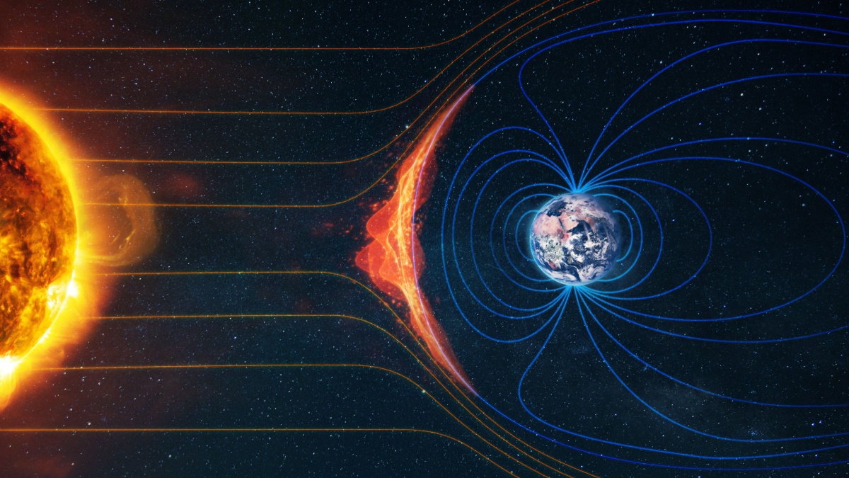 Wie Tiere und Menschen das Erdmagnetfeld erkennen und nutzen